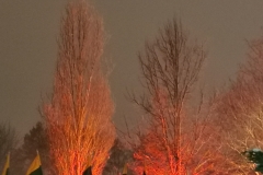 IMG_20230112_173944