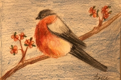 image12