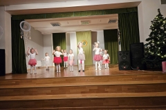 viber_image_2023-12-20_08-58-51-499