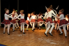DSCF0240-2