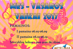 mes vasaros vaikai 2017